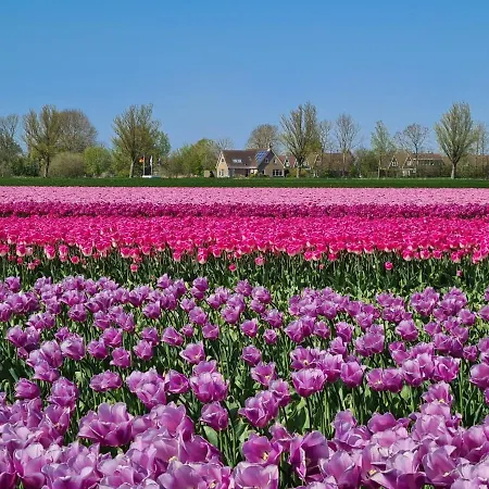36 Op Recreatiepark De Wielen * Sint Maarten